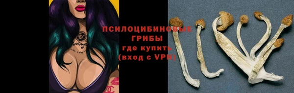 2c-b Кулебаки