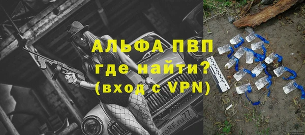 стафф Куйбышев
