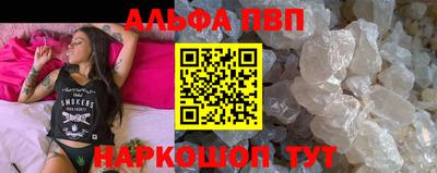 скорость Кингисепп