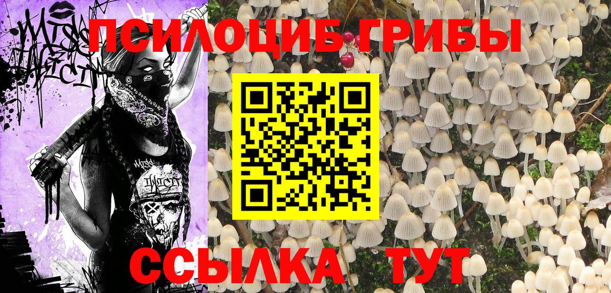 Торжок  Галлюциногенные грибы Psilocybine cubensis  Вход с VPN  Галлюциногенные грибы мицелий 