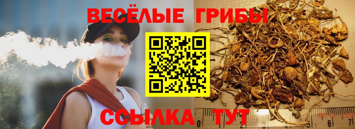 Галлюциногенные грибы ЛСД Торжок
